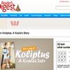 Win 1 of 10 copies of 'Koliptus, A Koala's Story'!
